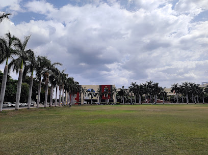 Indore Institute of Science & Technology